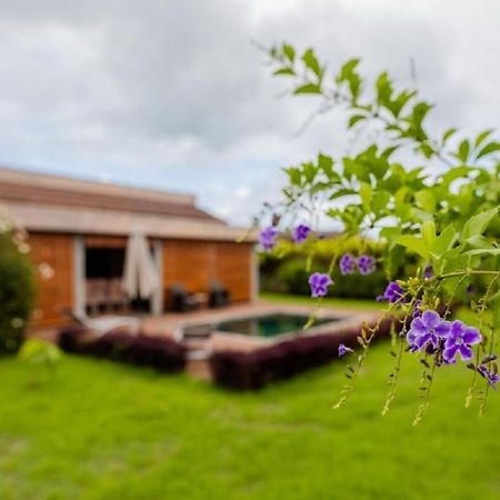 Grand Bay Luxury Villa With Pool & Garden 外观 照片